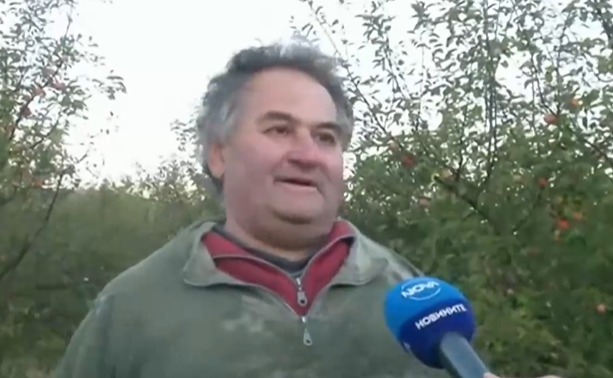 Заловиха бригада железничари, спрели влак, за да плячкосат градина с ябълки