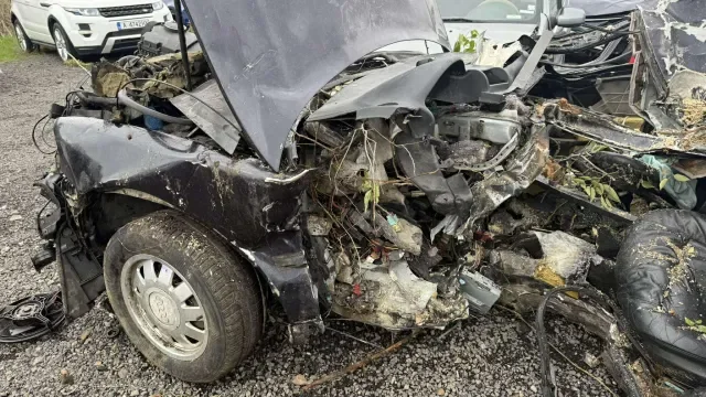 Излизат подробности за кървавата касапница със загиналото край Пловдив семейство