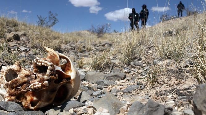 48 чувала с човешки останки са намерени в тайно гробище в крепост на картел в Мексико