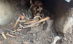 Проверяват по кости за нелегална кланица край Нова Загора