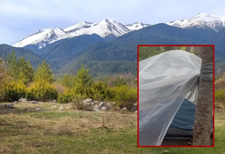 Горският човек Боян Иванов, открит в Пирин, отново е в неизвестност