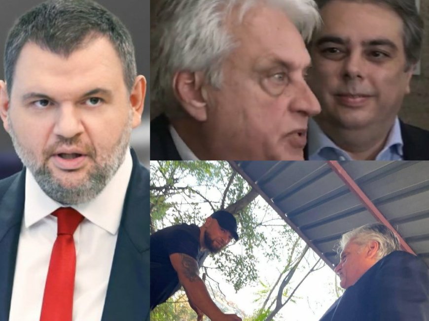 ПЪРВО В ПИК TV! Делян Пеевски: Сатрапът Рашков заедно с момичето с пеньоара се гърчиха като червеи и пак излъгаха (ВИДЕО)