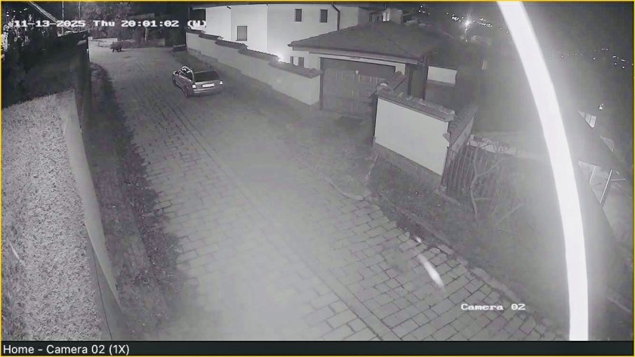 Организират денонощни патрули заради мечката в Карлово