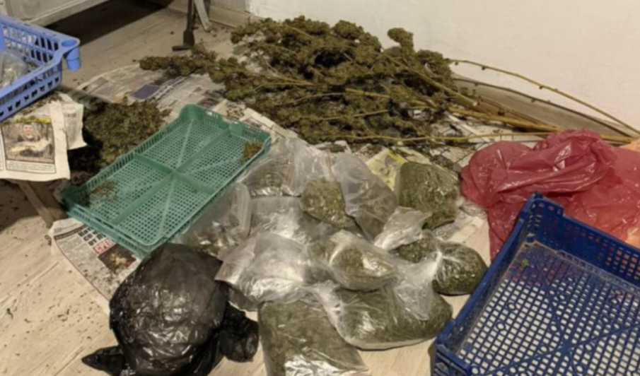 Спипаха голямо количество наркотици след спецакция в област Търговище
