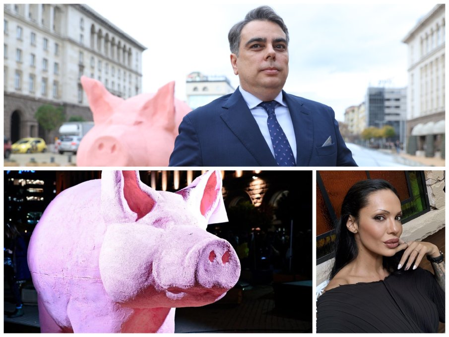 КУЛТОВА ИДЕЯ: Асен Василев на диета при Линда, че не е ясно розовото прасенце кого точно олицетворява