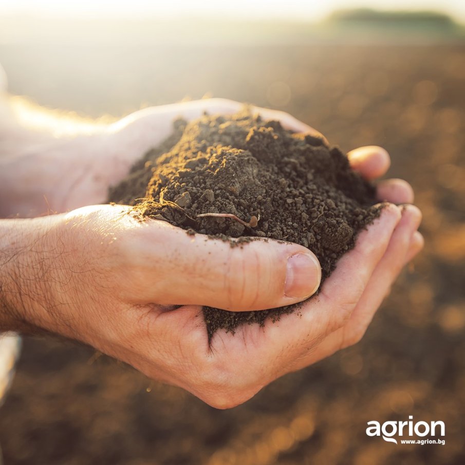 Последни седмици за изгодна продажба на земя!