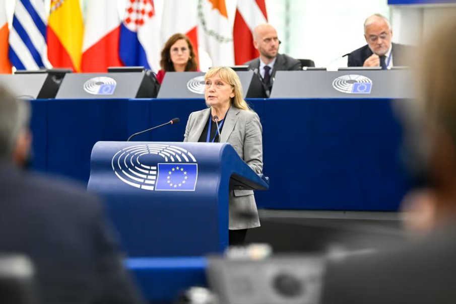 елена йончева категорично неправителствените организации заместват демократичните институции
