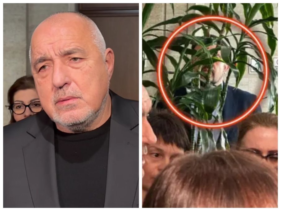 ХВАНАТИ В КРАЧКА! Обвиниха ППДБ във воайорство - крият се зад фикуса и дебнат за... (ВИДЕО)