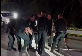 Шерифи изнесоха на ръце алигатор, блокирал основен път във Флорида