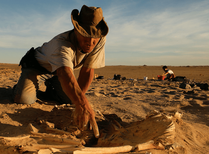 Откриха следи от неизвестна досега човешка популация