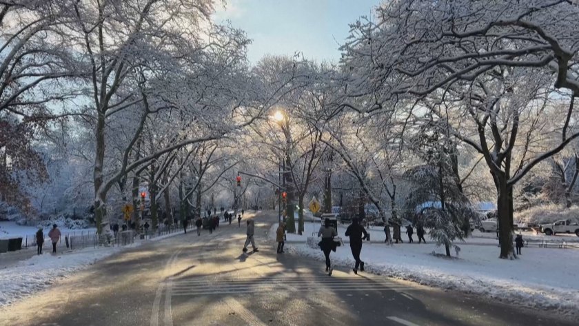 Първи сняг зарадва жителите на Ню Йорк