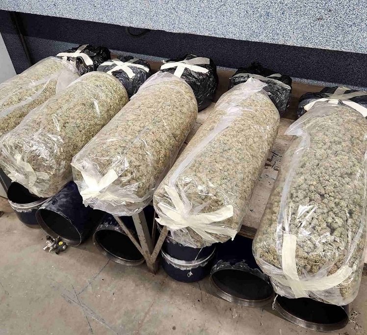 Конфискуваха около 40 тона марихуана в Северна Македония