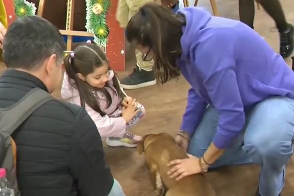 Кучета от Общинския приют в Русе гостуваха на библиотеката