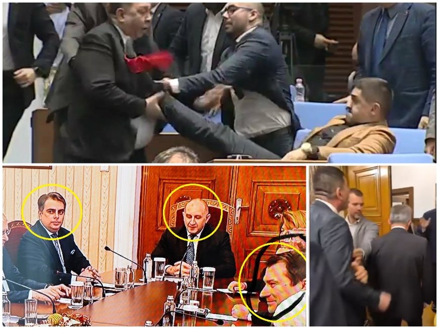 Колтуклиева: Протестът успя! Така ли? Давате ли си сметка какво всъщност се случи