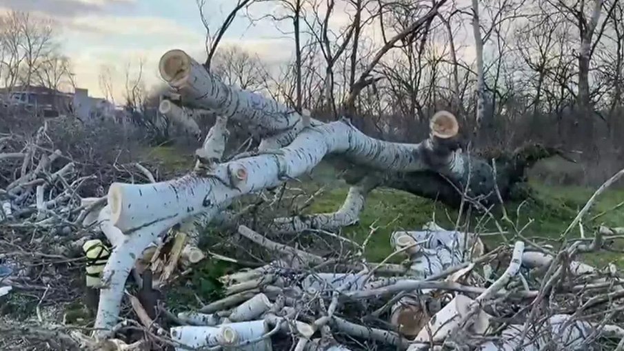 Бурният вятър в Пловдив: Над 80 сигнала за щети и пострадали автомобили
