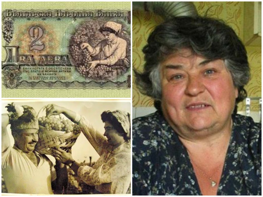 САМО В ПИК И РЕТРО: Гроздоберачката от двулевката си отиде в нищета преди еврото
