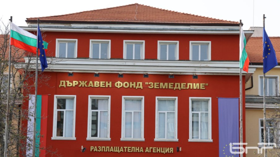 Информационните системи на ДФЗ - недостъпни за граждани до 12 януари