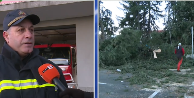 На косъм от трагедия на Предела: Дърво падна върху движещ се автомобил на семейство от Чехия