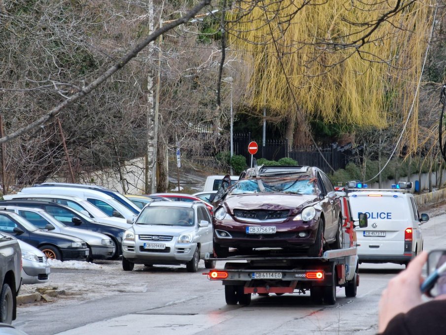 Фотосесия засне зловещата гледка на колата, в която, премазана от дърво, загина майката на две деца (СНИМКИ)