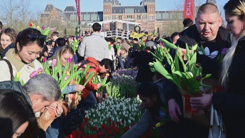 200 хиляди лалета дадоха старт на сезона в Нидерландия