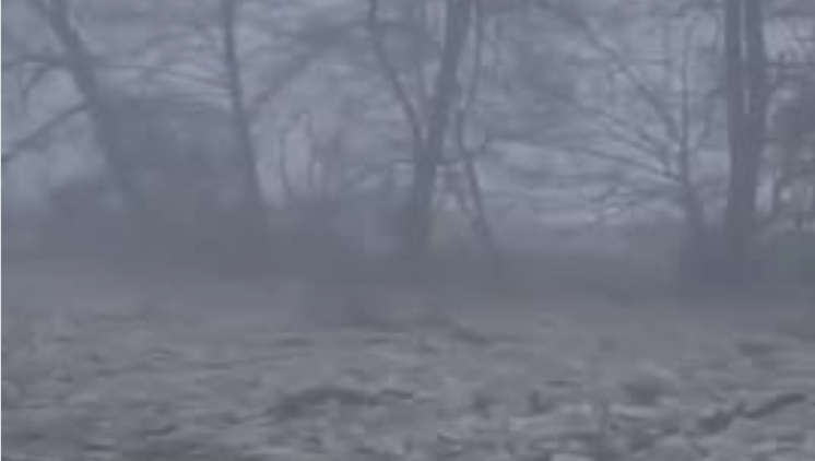 Военни взривиха лед, предизвикал наводнения на над 40 хектара земи в Румъния (ВИДЕО)