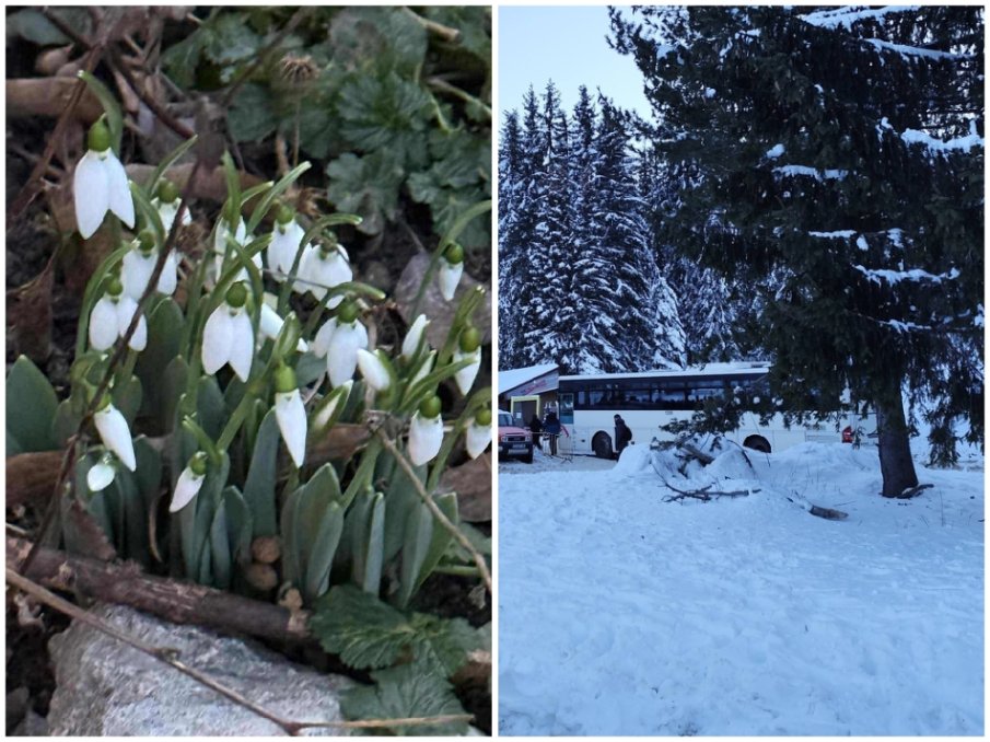 ЯНУАРСКИ АМПЛИТУДИ: Термометърът в София скача до 8 градуса, слънчево в планините, на места прехвърча сняг