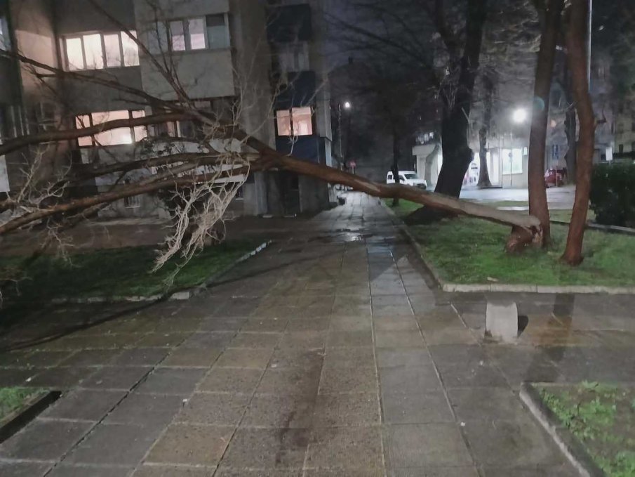 Ураганен вятър троши дървета и електрически стълбове в Бургас