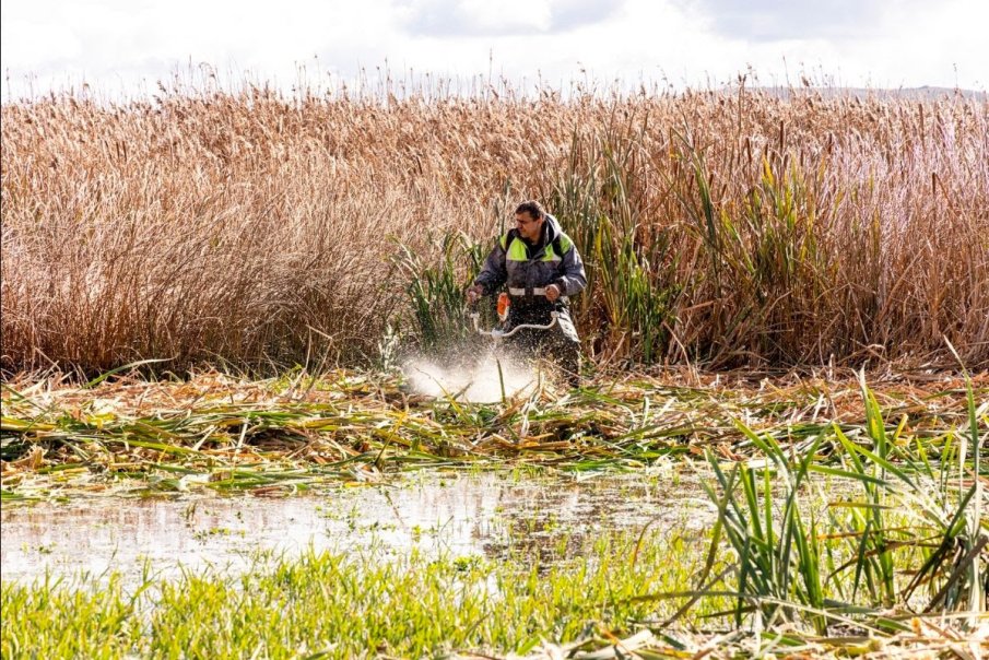 В Драгоманското блато отбелязват Деня на влажните зони