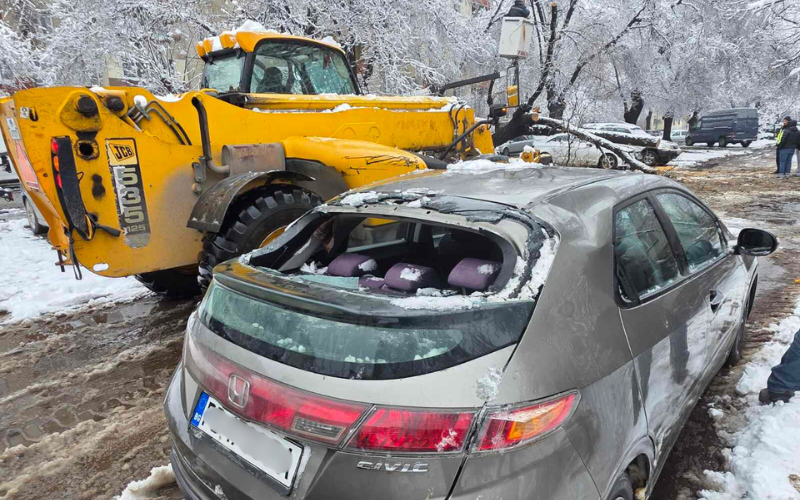 Дърво падна и премаза пет автомобила в Пловдив (СНИМКИ)