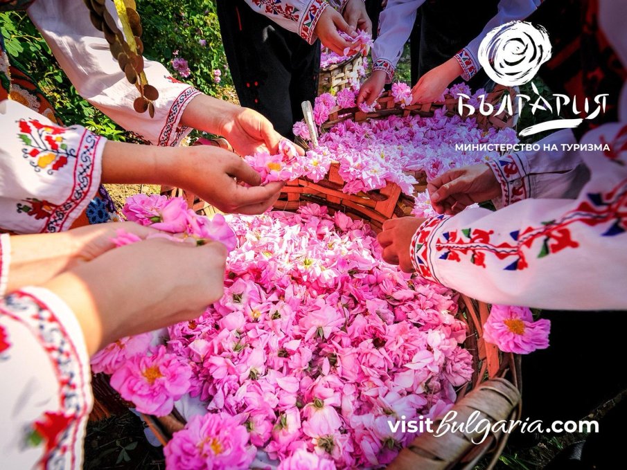 Министерството на туризма подкрепи Розовата долина за списъка на ЮНЕСКО