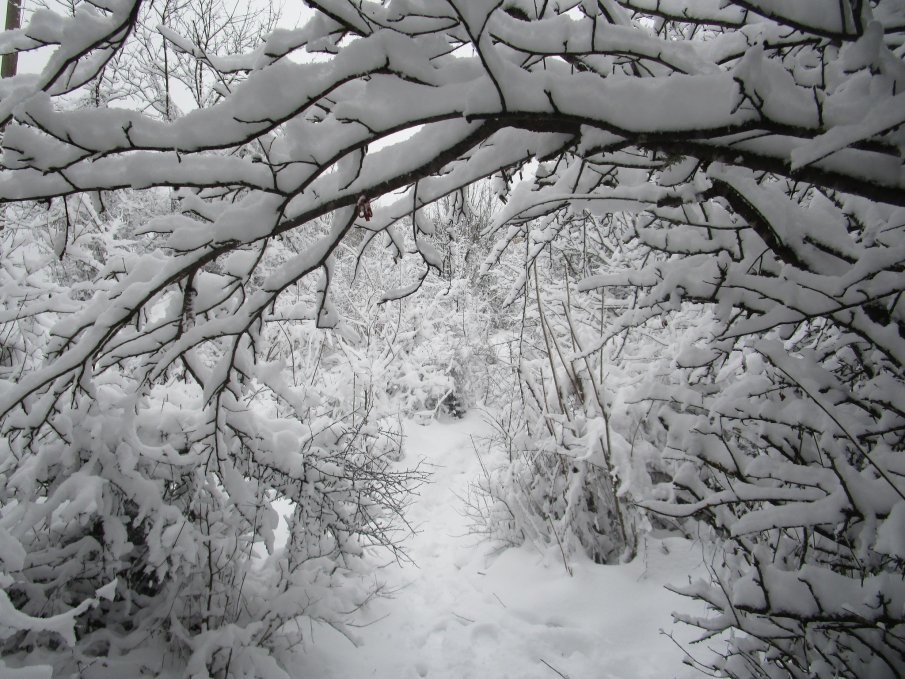 Meteo Balkans със СТРАХОВИТО ПРЕДУПРЕЖДЕНИЕ: Обстановката ще се влошава, очаква се до 15 см снежна покривка и заледявания