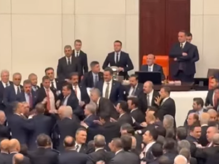 Здрав кьотек в парламента на Турция (ВИДЕО)