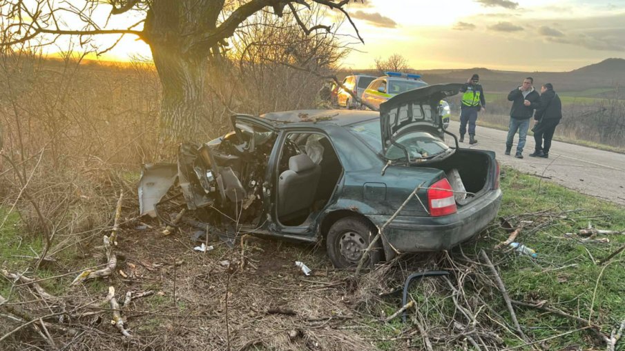 Удар в крайпътно дърво край Шумен, шофьорът бере душа