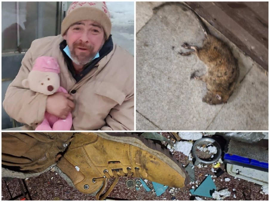 Разтърсващата история на един наръфан от плъхове софийски бездомник...(СНИМКИ)
