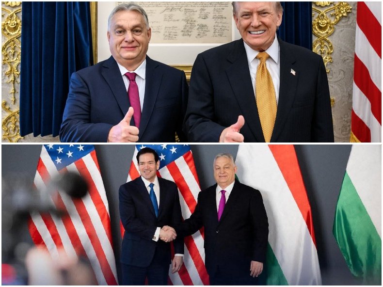 Георги Марков пред ПИК: Решителна подкрепа на Тръмп за Орбан: Вашата победа е и наша победа