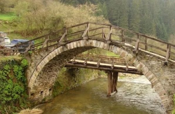 Пожарникари от Девин спасиха бедстващо куче в река