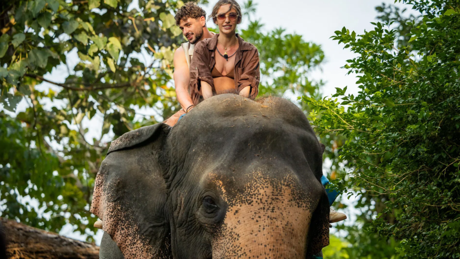 Ражда ли се голямата любов в Ергенът?