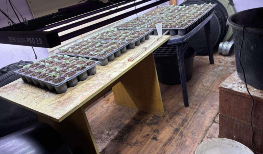 „Гранична полиция“ иззе 30 кг дрога край Макоцево, двама са задържани