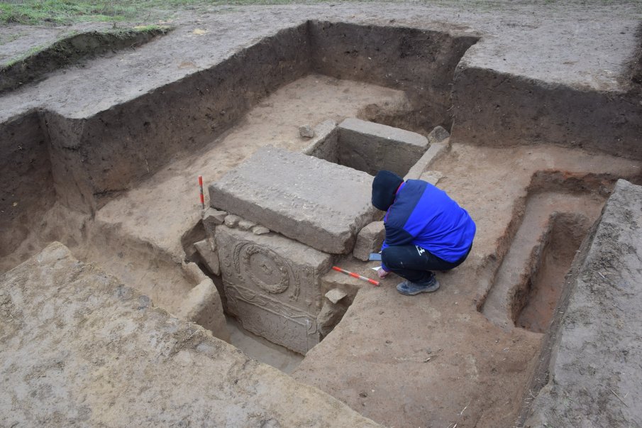Откриха гробница на центурион при изкореняване на дърво в частен имот в Свищов (СНИМКИ)
