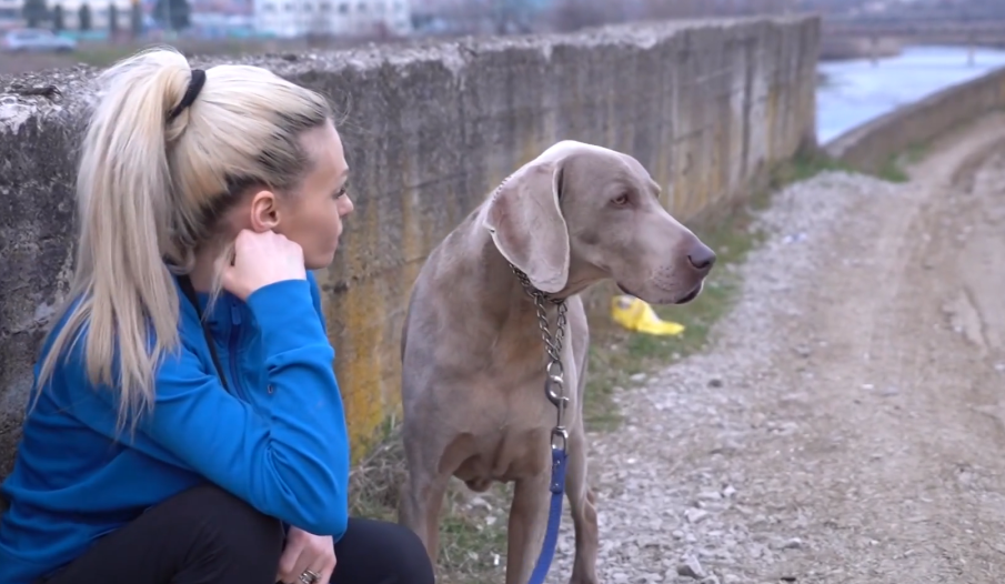Жена скочи в 7-метров преливник, за да спаси кучето си