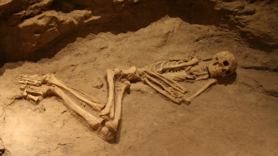 Откриха човешки кости в района на село Понор