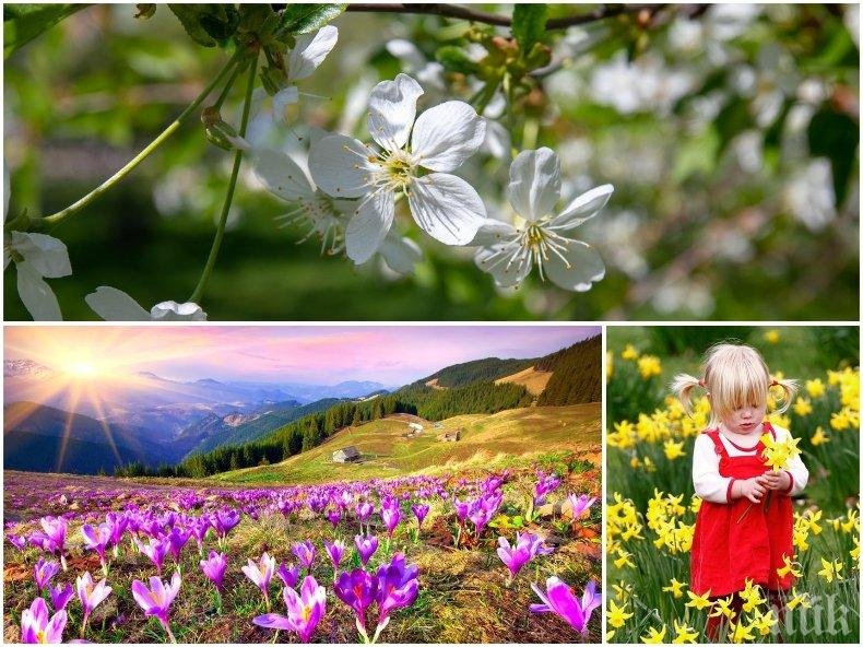 ЧУДЕСНО ВРЕМЕ! Слънчево и топло, живакът скача до пролетните 19 градуса (КАРТА)