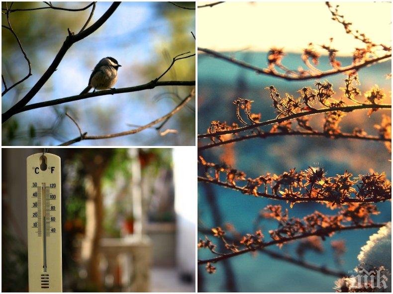 ПРЕКРАСЕН МАРТЕНСКИ ДЕН! Слънчево в цялата страна - термометрите скачат до 18 градуса