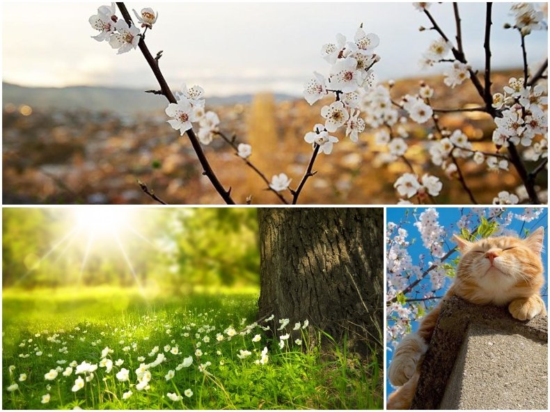 ЧУДЕСНО ВРЕМЕ! Меко, слънчево и топло - живакът стига пролетните 18 градуса (КАРТА)