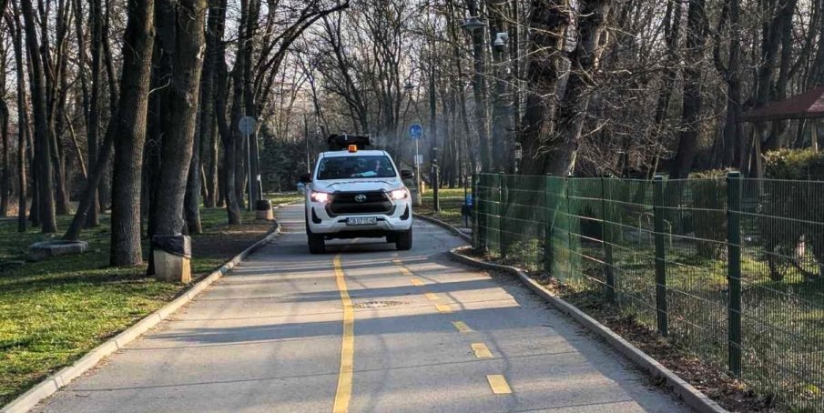 Столичната община започва по-рано обработките срещу кърлежи, комари и гризачи