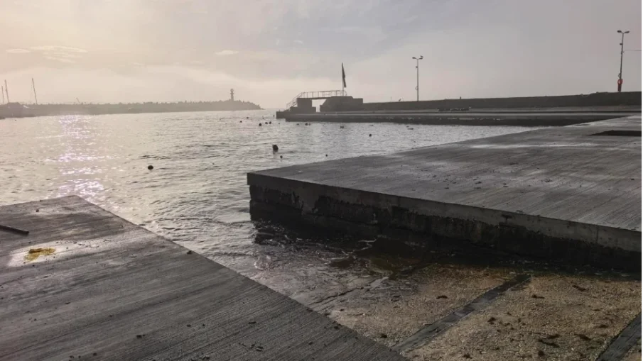 Царево ще си има рибна борса