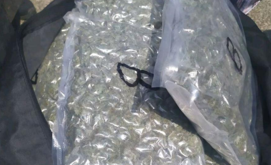 Откриха 660 кг канабис на сметище край Бобов дол