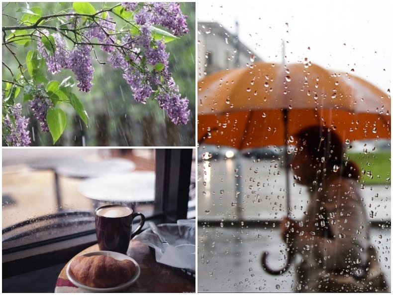 В ДЕНЯ ЗА РАЗМИСЪЛ: Стойте си вкъщи, валежи провалят излети и идеи за разходка (КАРТА)