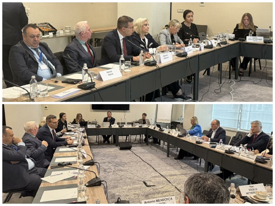 ДПС сигнализира делегацията на ПАСЕ за полицейски произвол и безпрецедентен натиск от МВР срещу изборните права