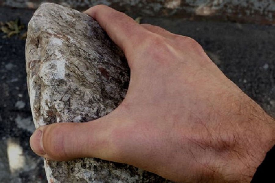 Мъж удари леля си с камък в главата